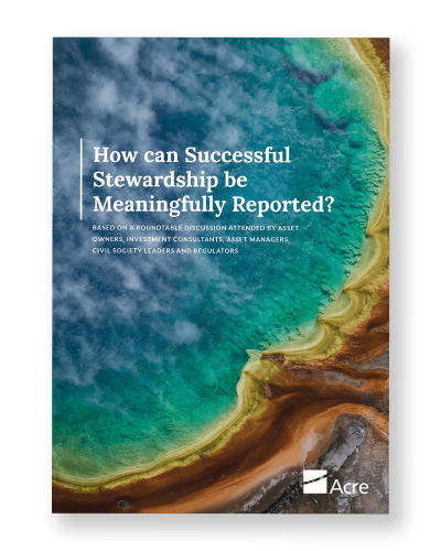 How can successful stewardship be meaningfully reported?