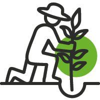 Sustainability Recruitment Icon